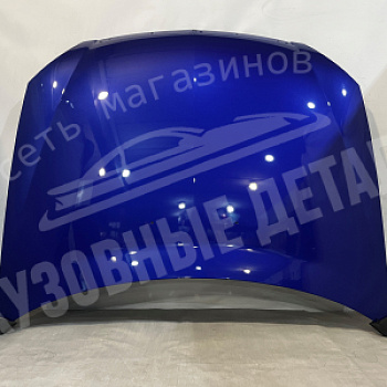 Капот 2170 НАЧАЛО Мускари 426